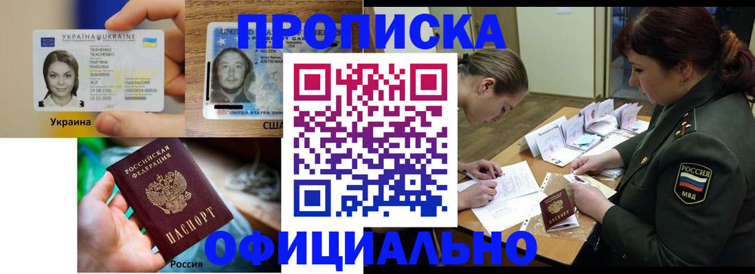 временная регистрация поиск в Новгородской области